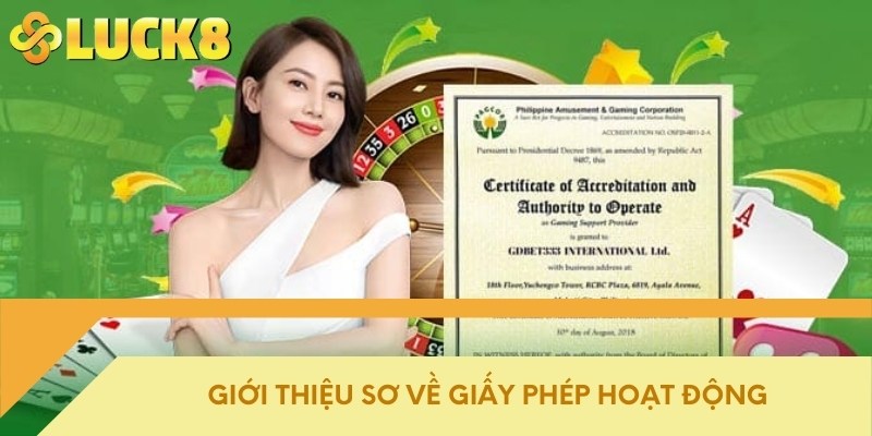 Giới thiệu sơ về giấy phép hoạt động 